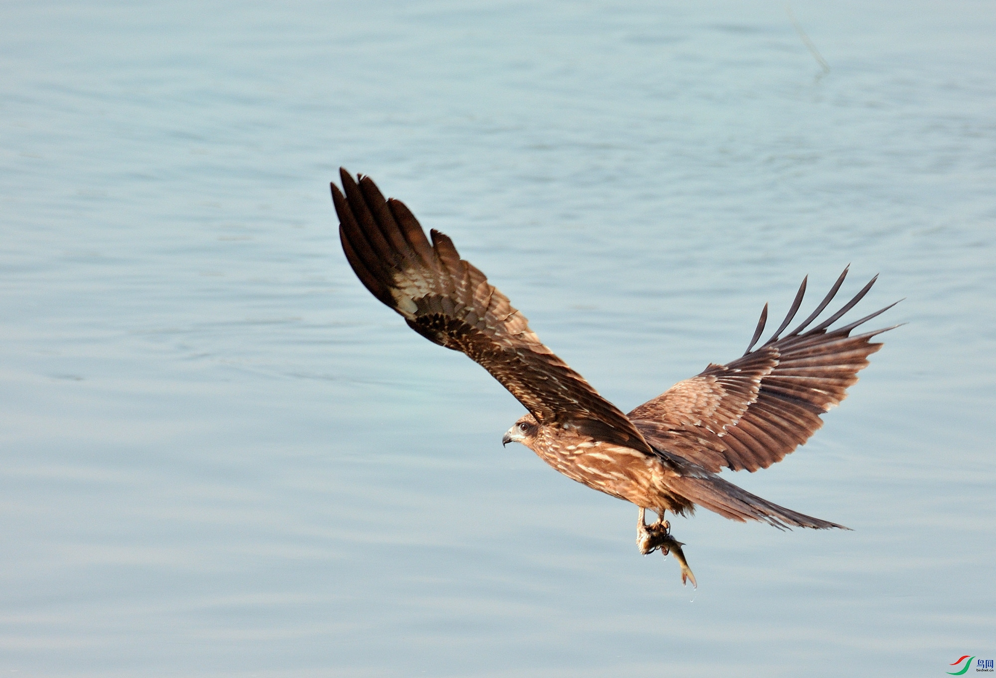 WSC_0179.jpg