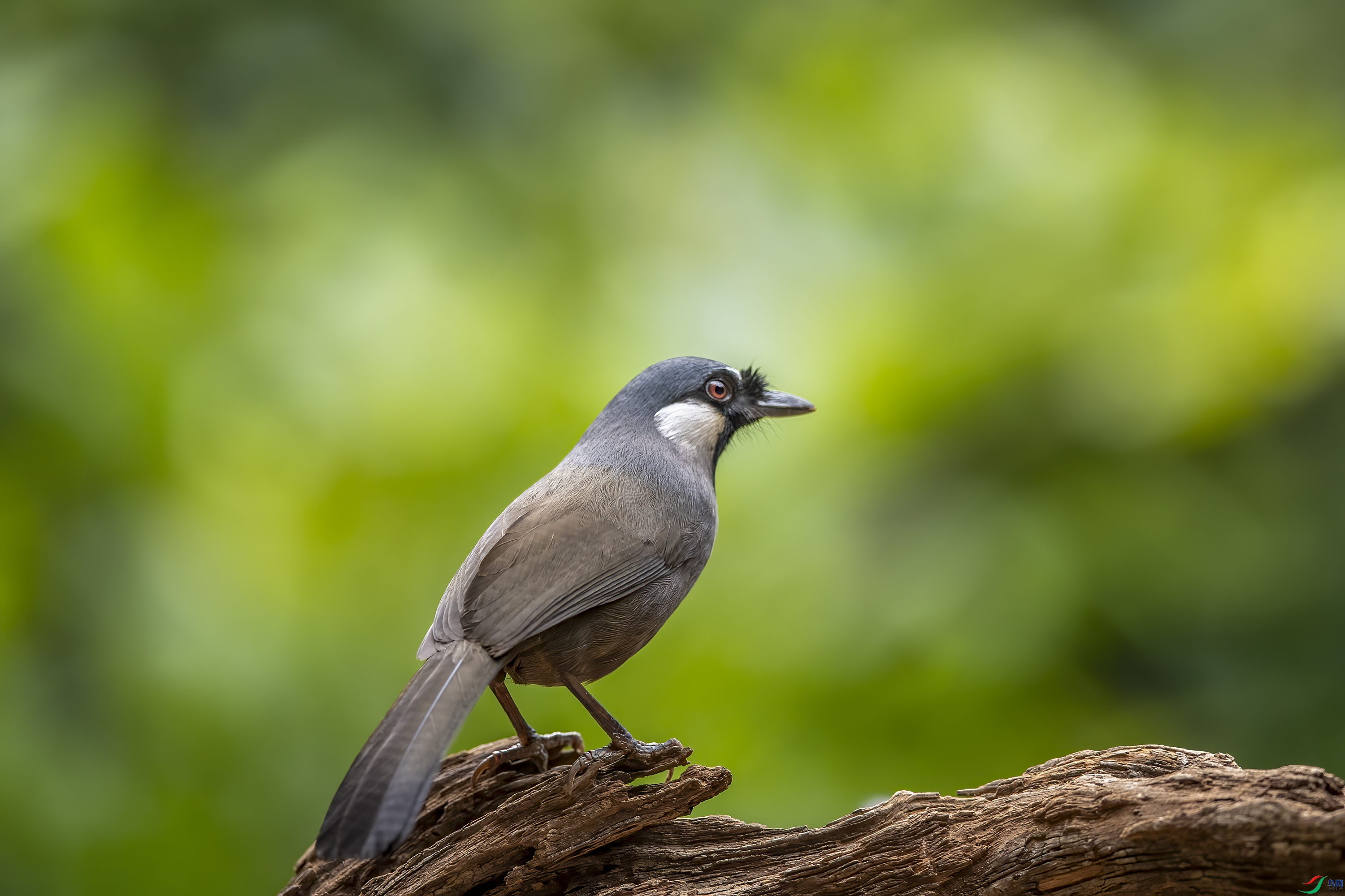 DSC_7840-.jpg