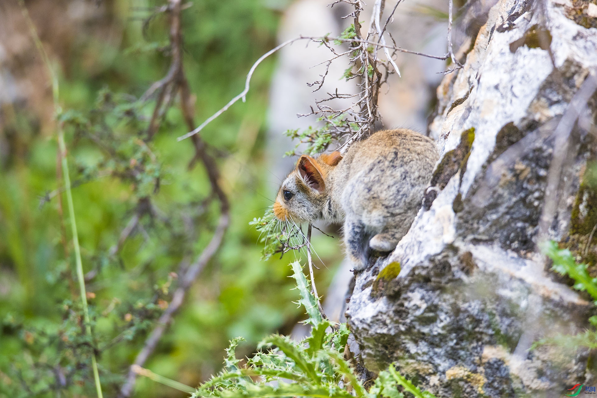 ��������