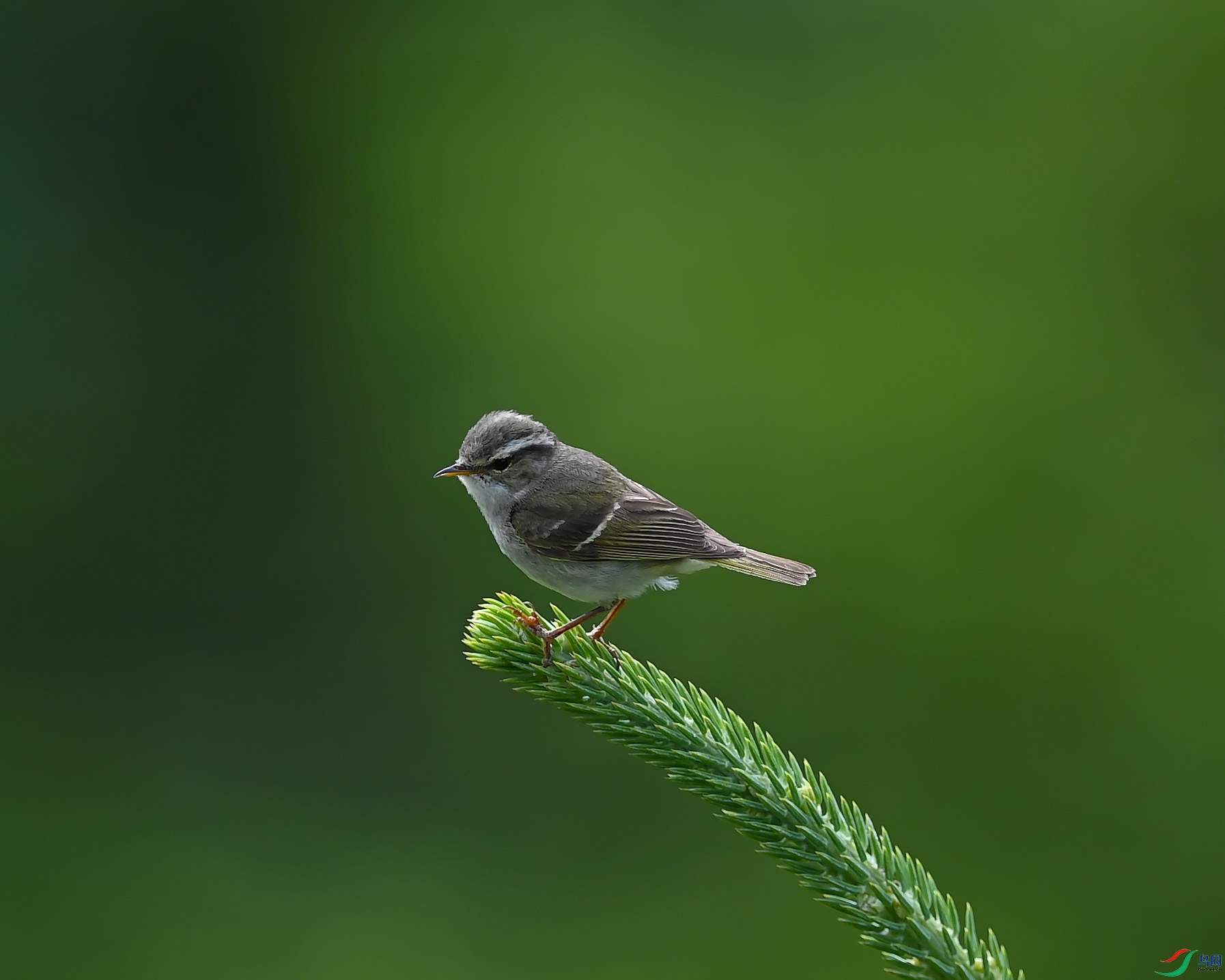 DSC_6881.jpg