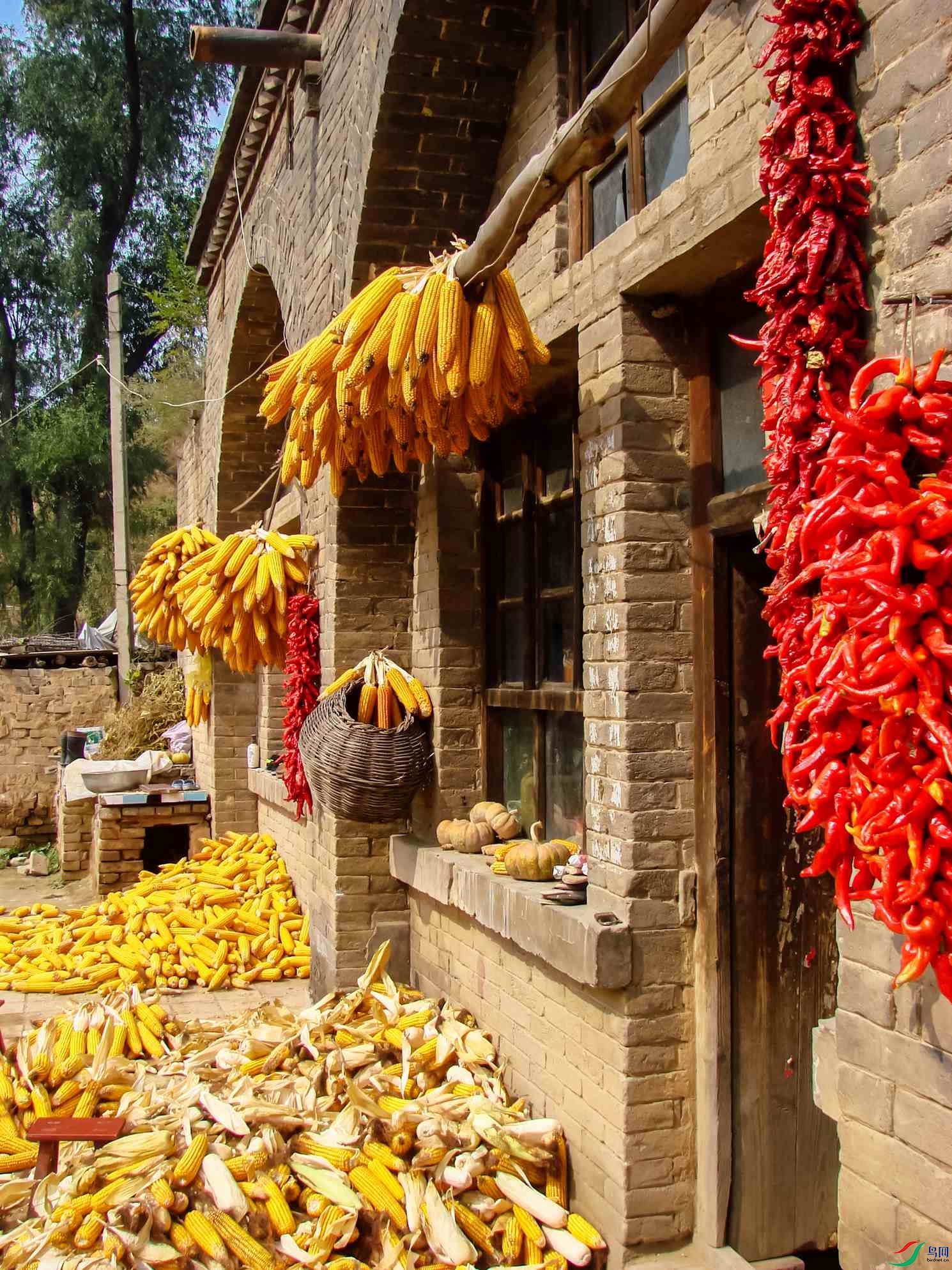 ����֮��