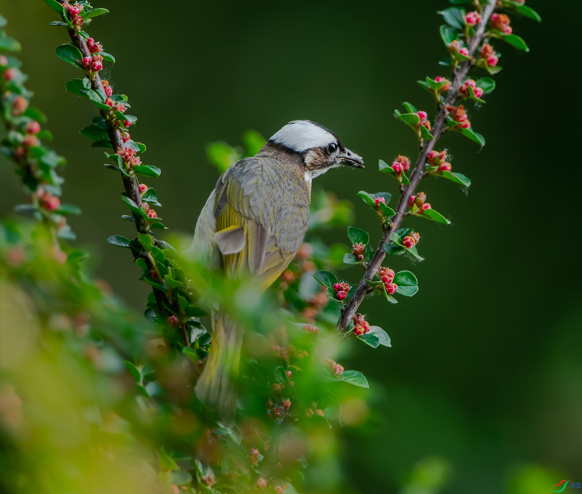 DSC_7630.jpg