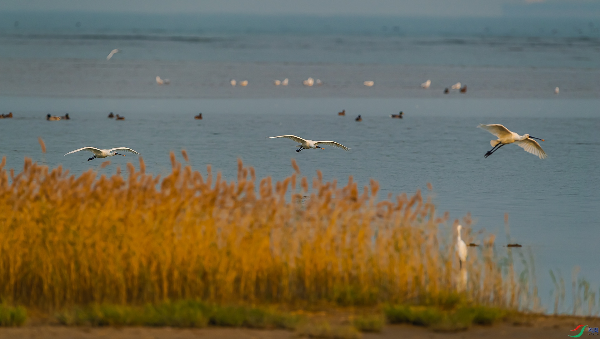 DSC_6557.jpg