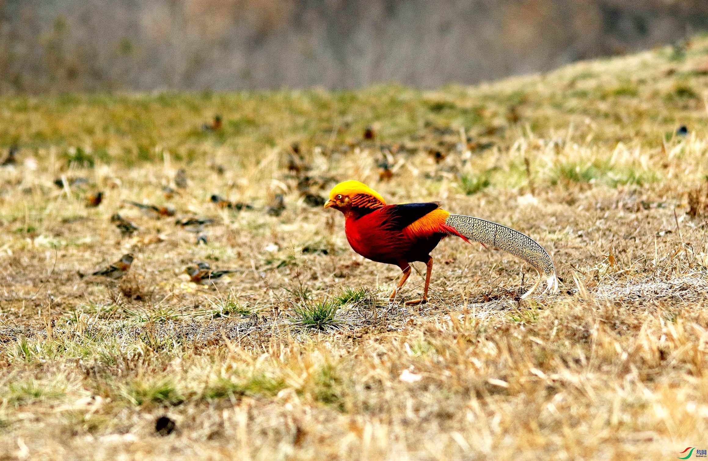 �츹���� (18).jpg