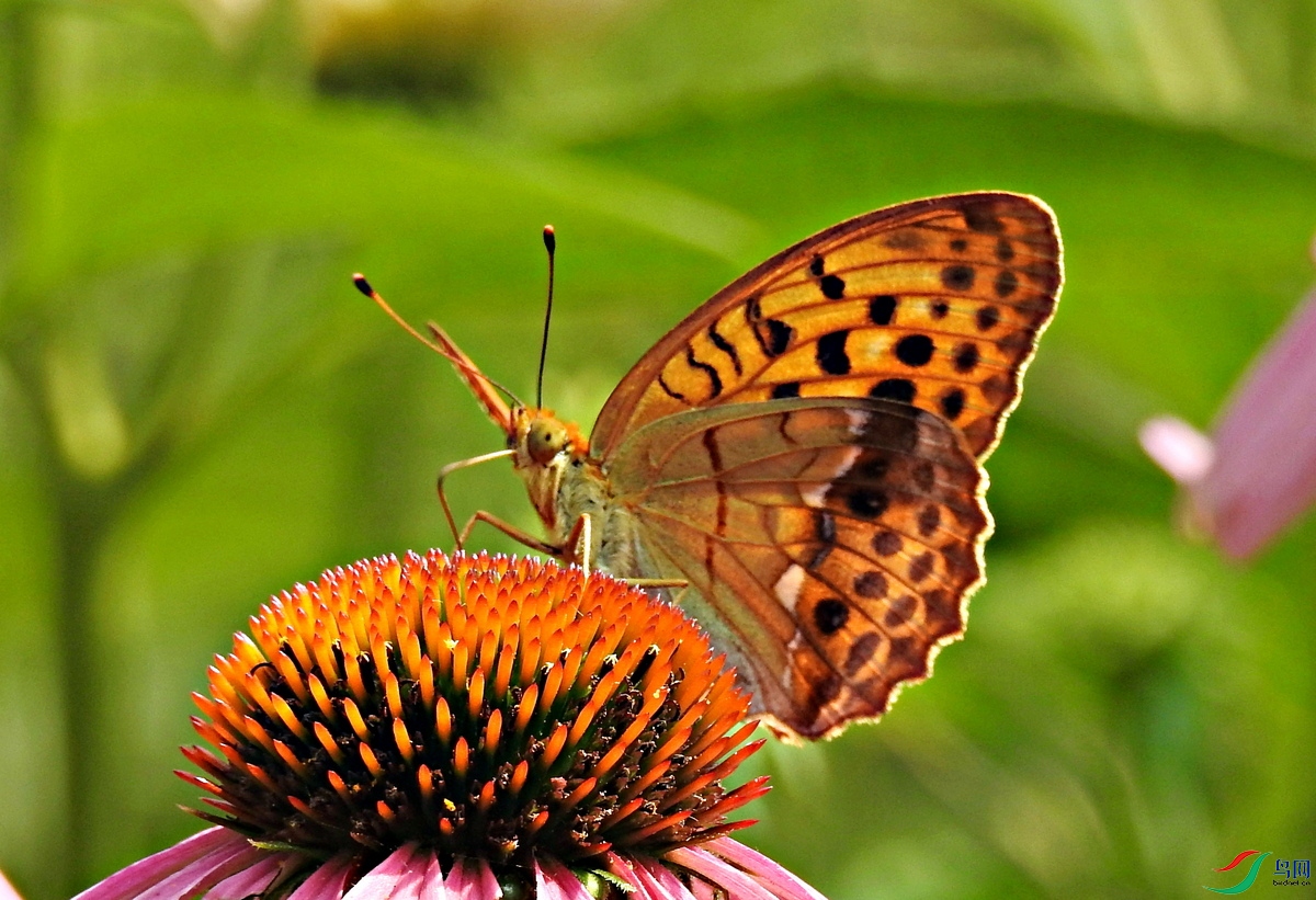 DSCN4723.JPG