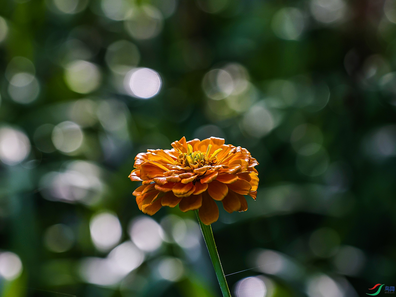 1K3A1705 ����1.jpg