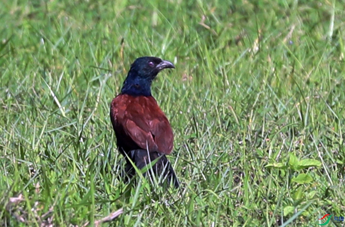 B83I2400.JPG