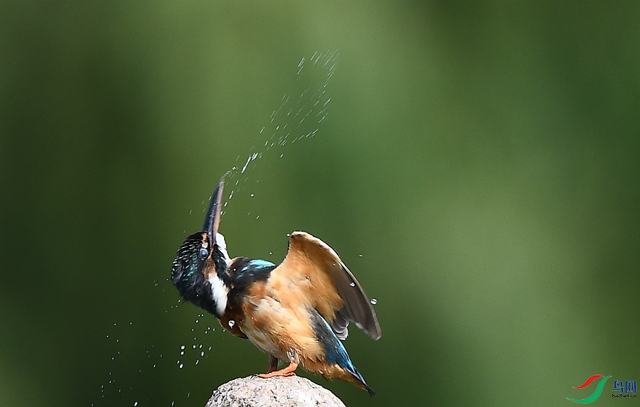 DSC_2940.JPG