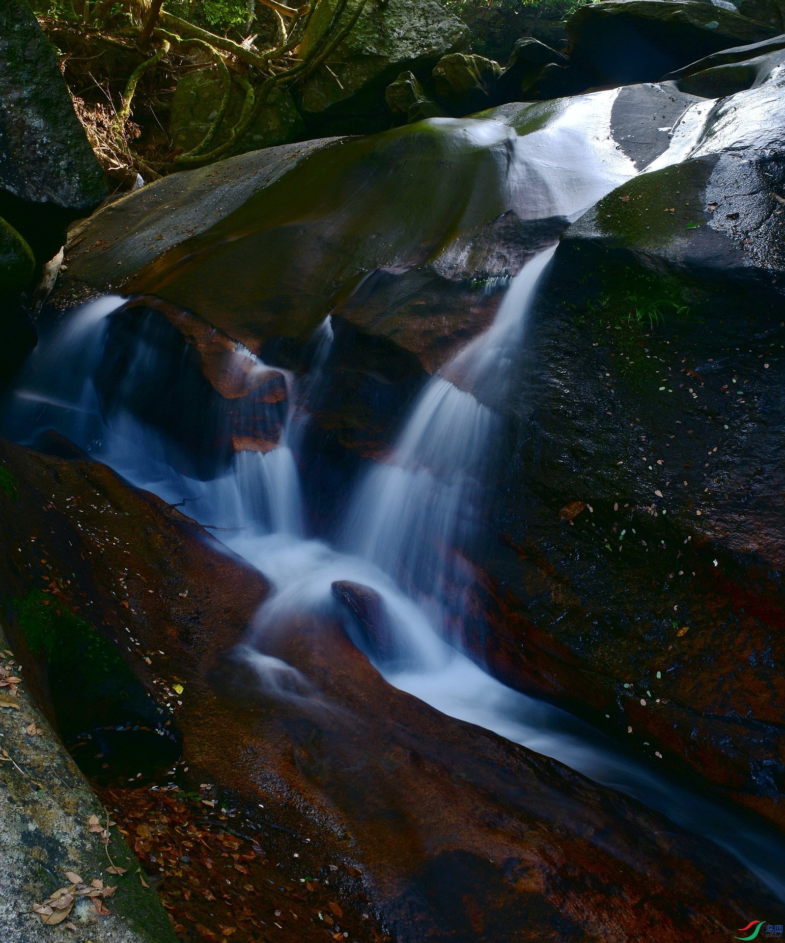D8I_1280.jpg