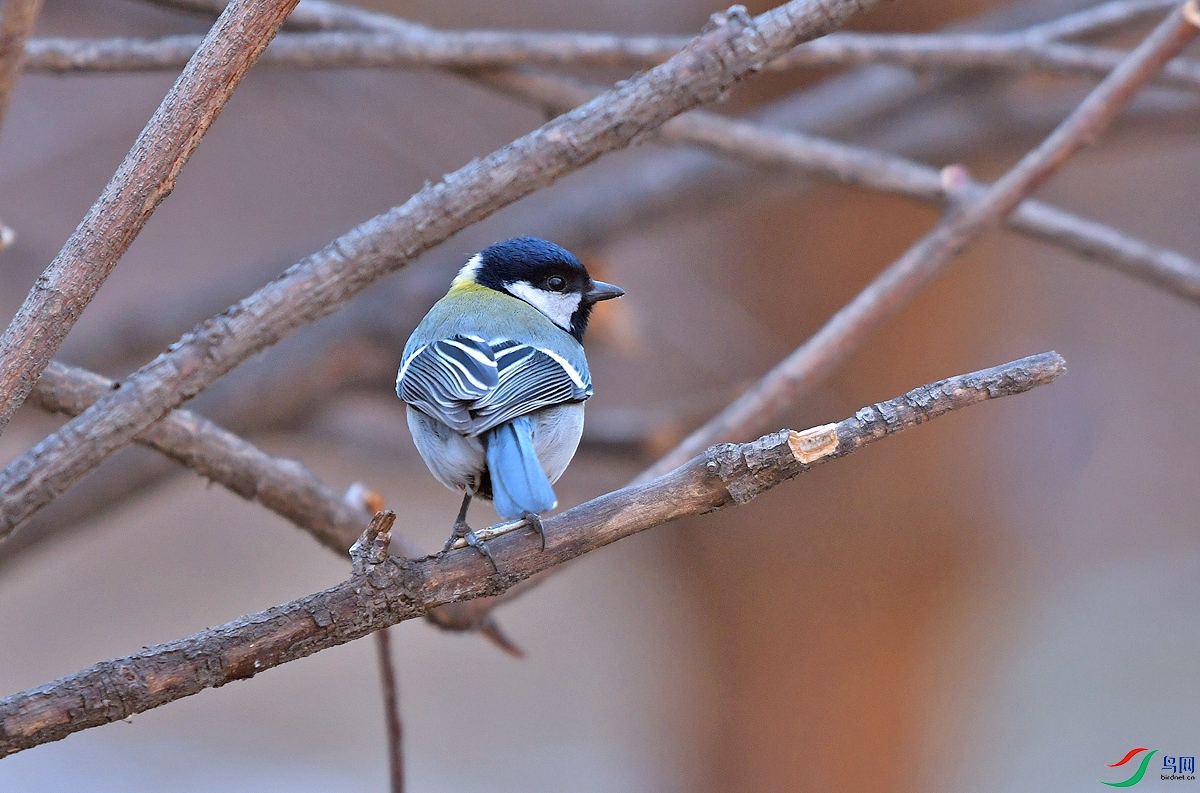 DSC_0875.JPG