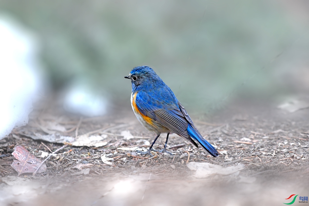DSC_1278.JPG