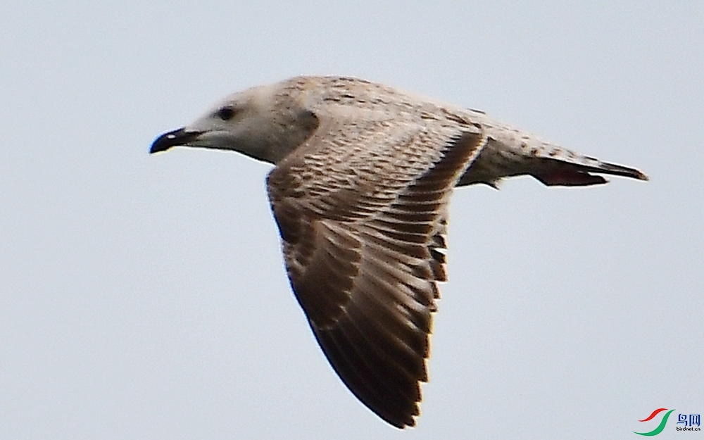630.JPG