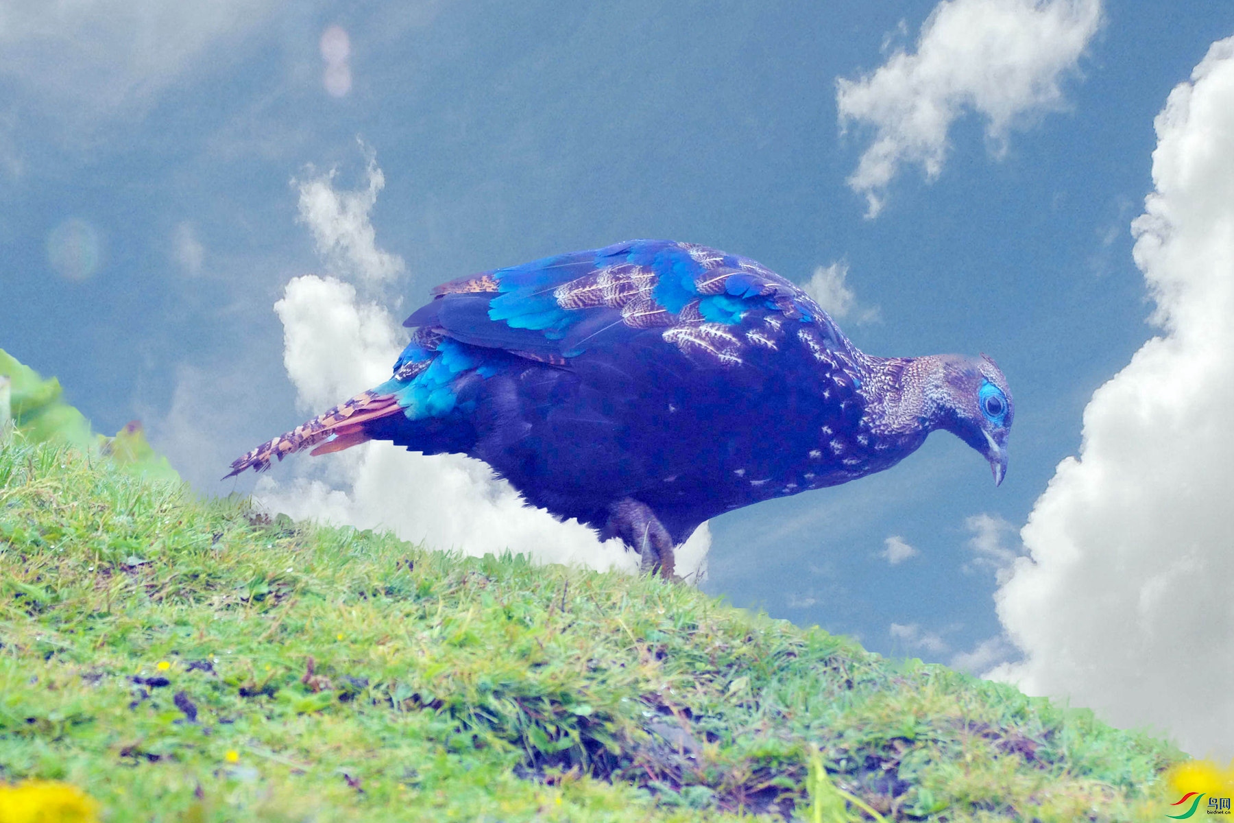 04P��������.jpg