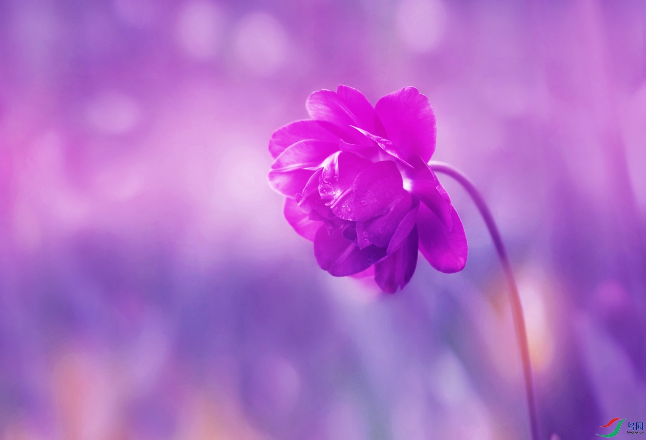 DSC_0079 ����.jpg