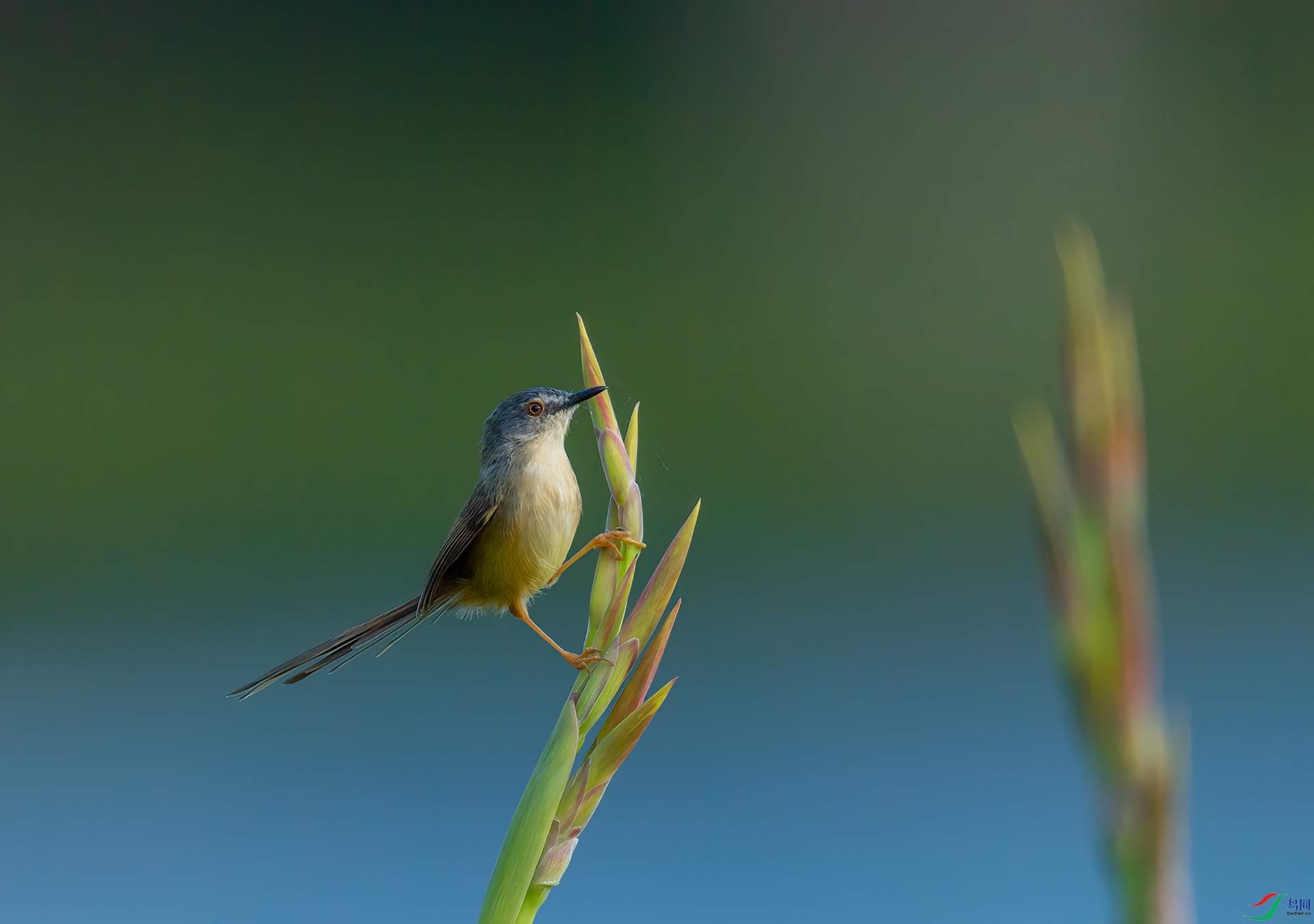 DSC_3121 ����.jpg