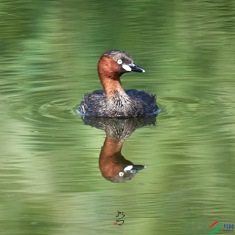 ��¡ׯʪ��20220709DSC_3772_����.jpg