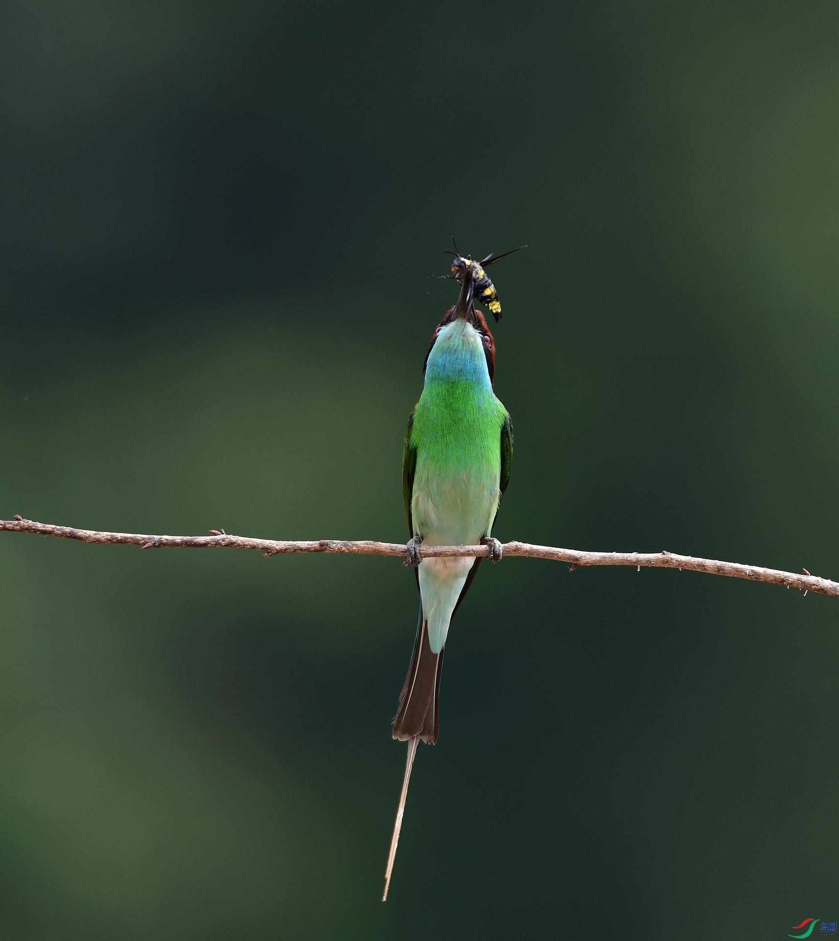 D8I_6032.jpg