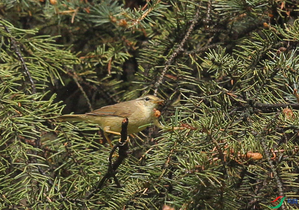 CS3U9126.jpg