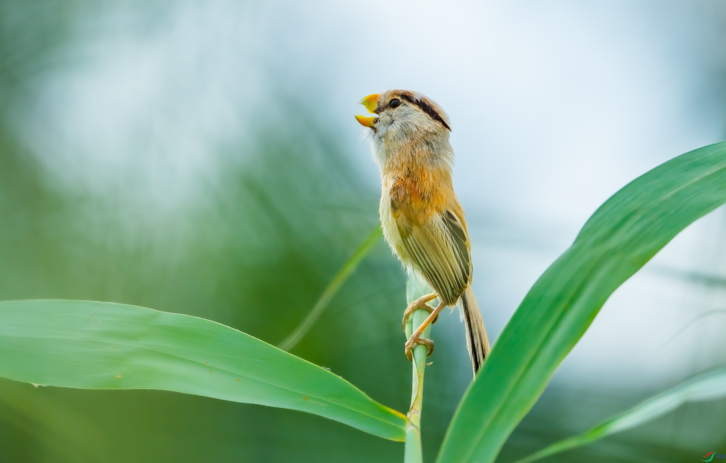 �������ѻȸ