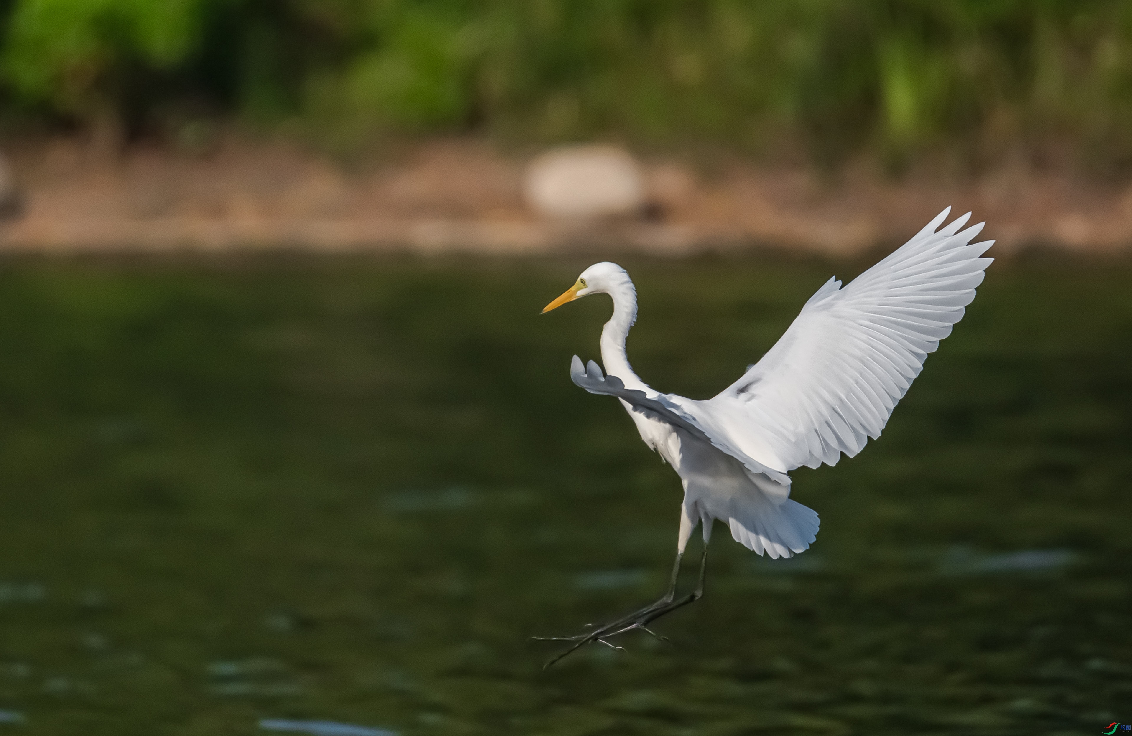 DSC_5743.jpg