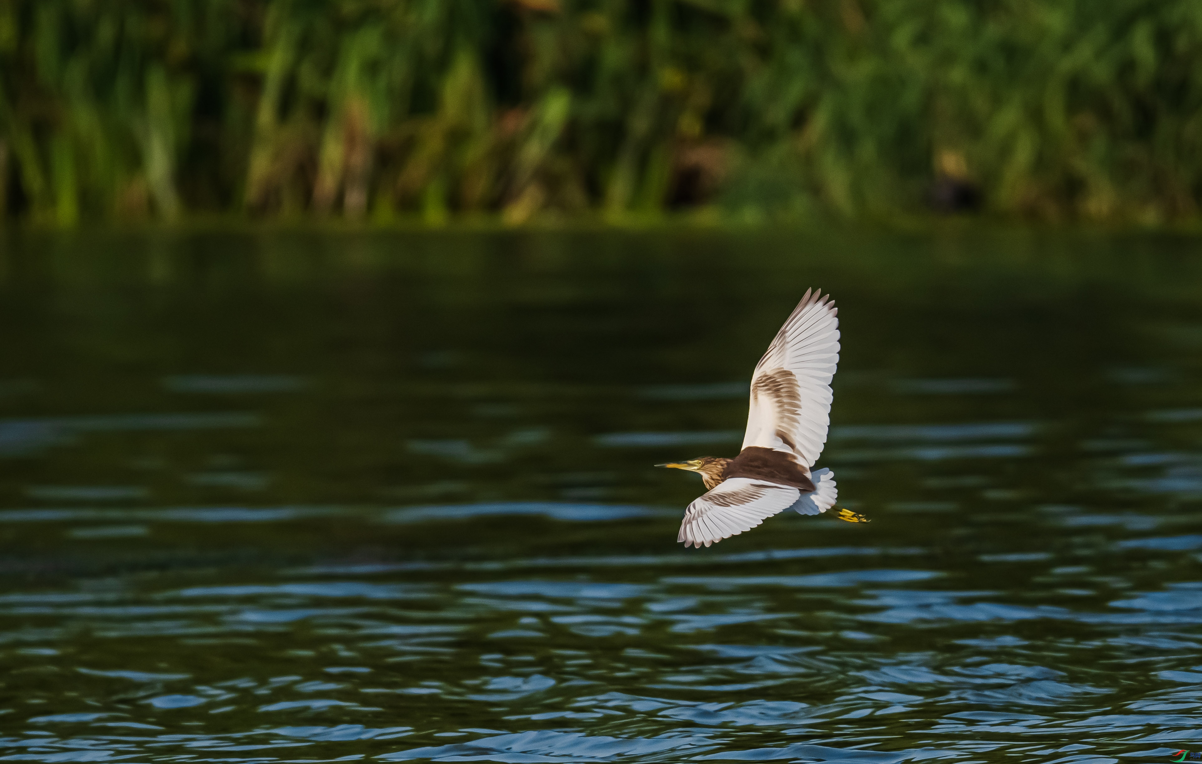DSC_5774.jpg