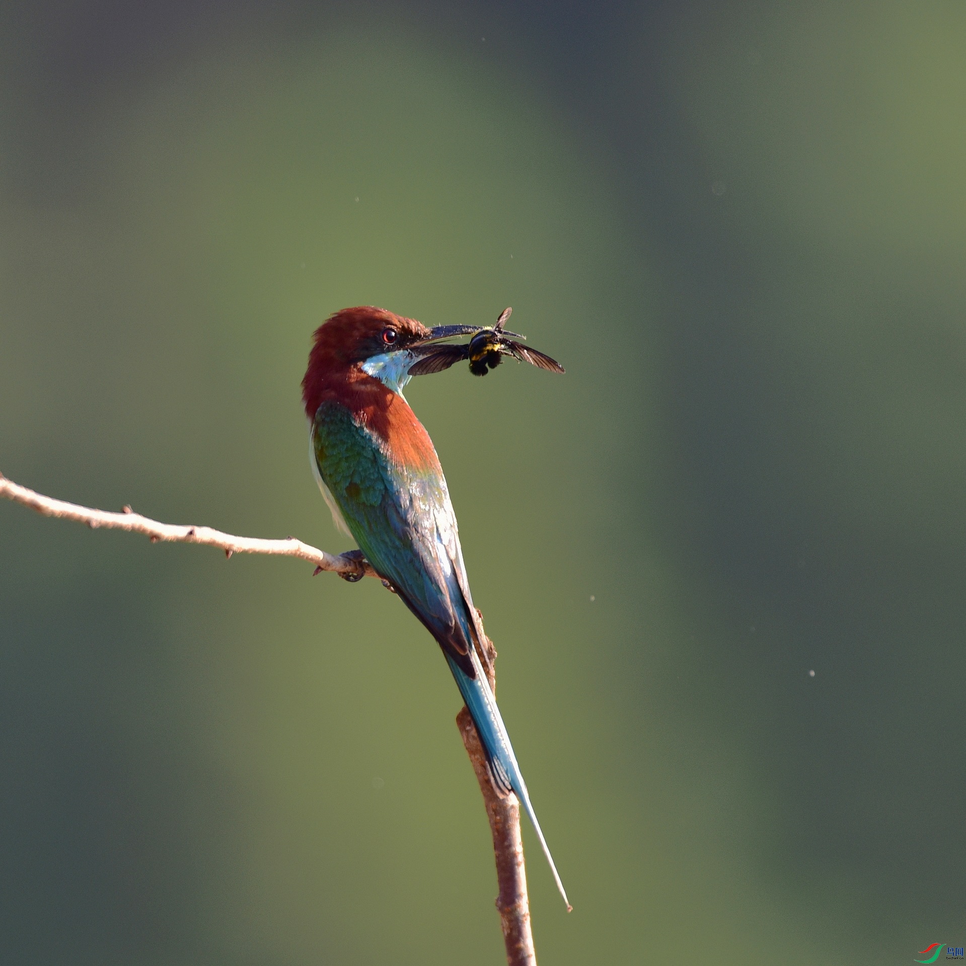 D8I_4563.jpg