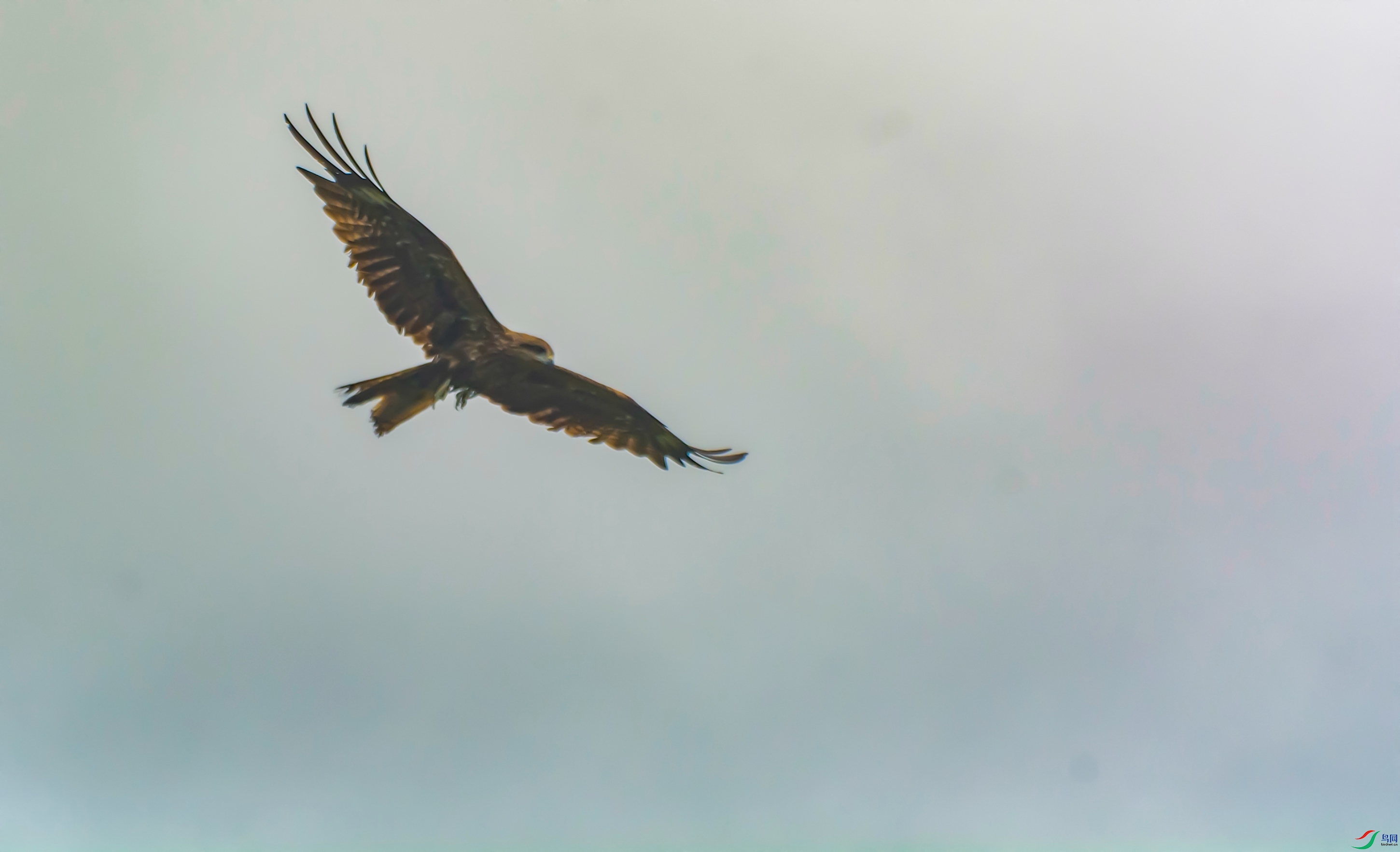 DSC_8351_����.jpg