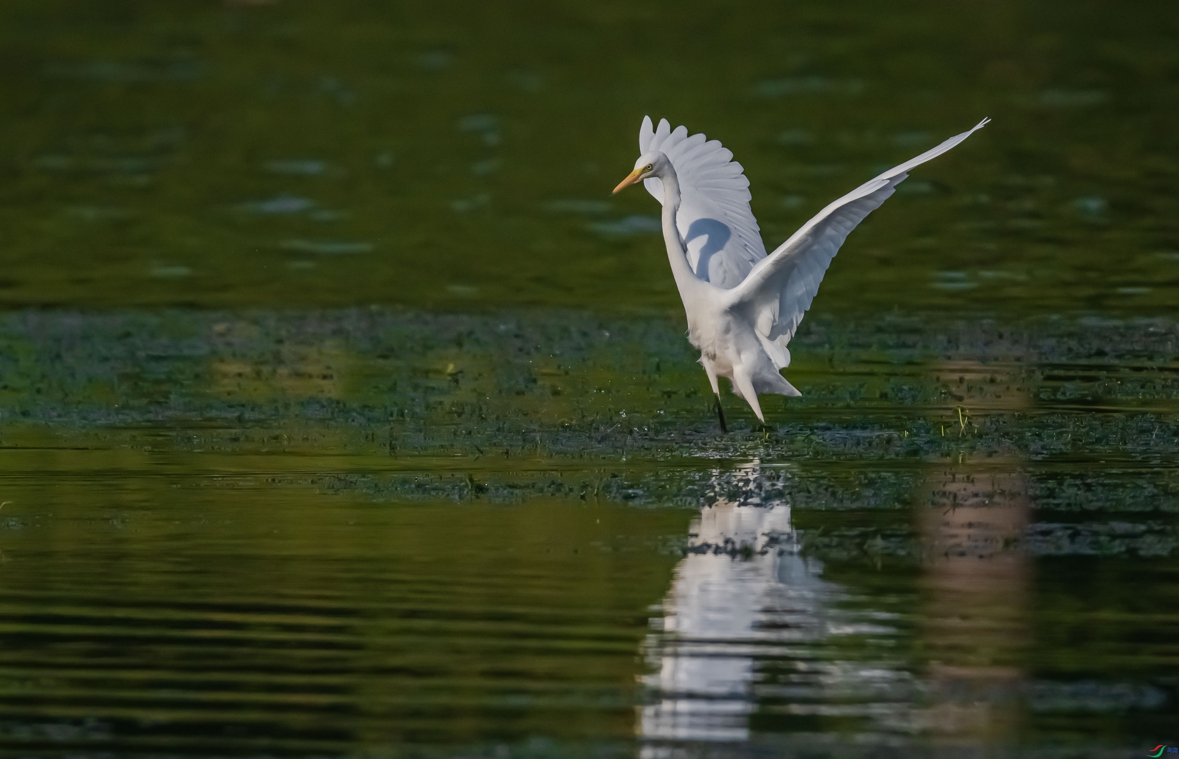 DSC_5748.jpg