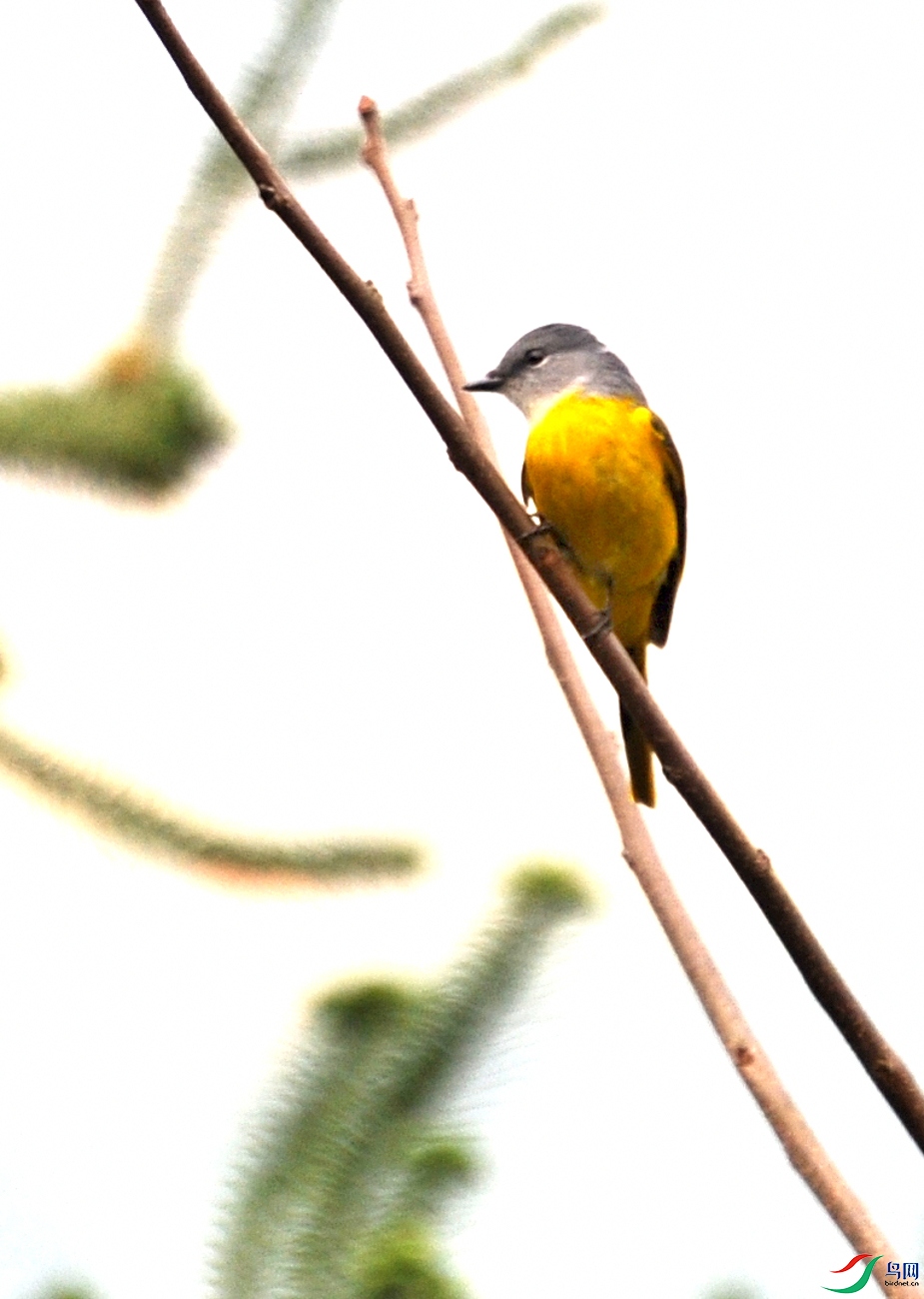 WSC_5120.jpg