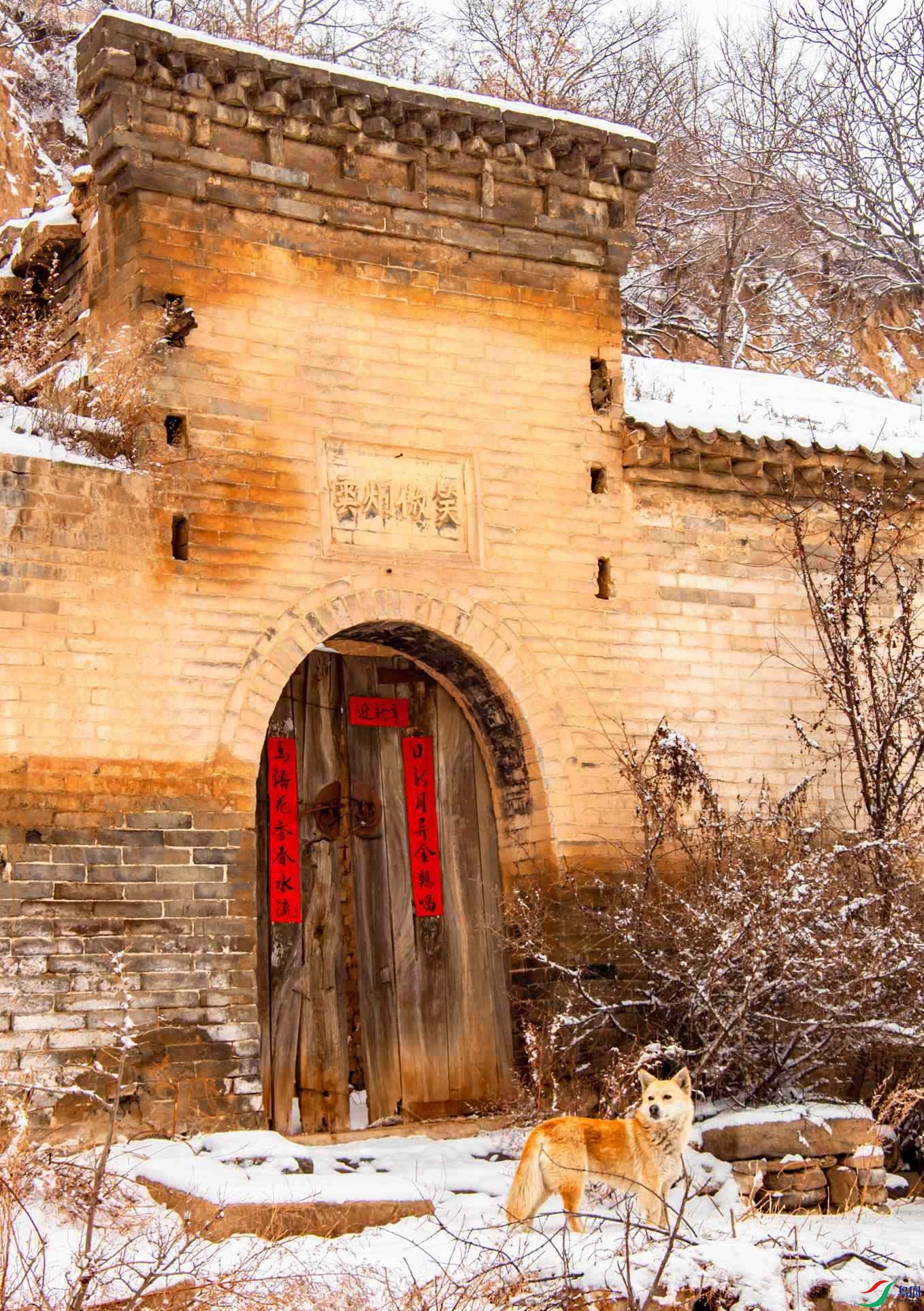 �´�����