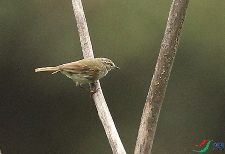 CS3U0799.jpg
