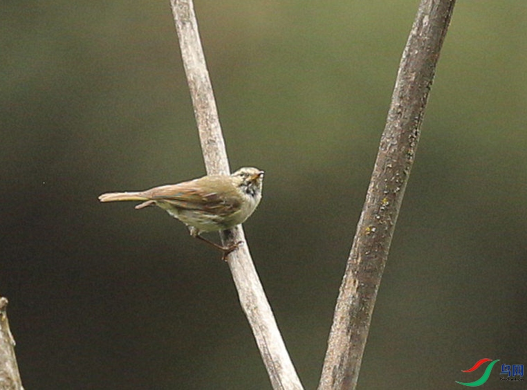 CS3U0806.jpg