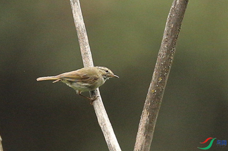 CS3U0802.jpg