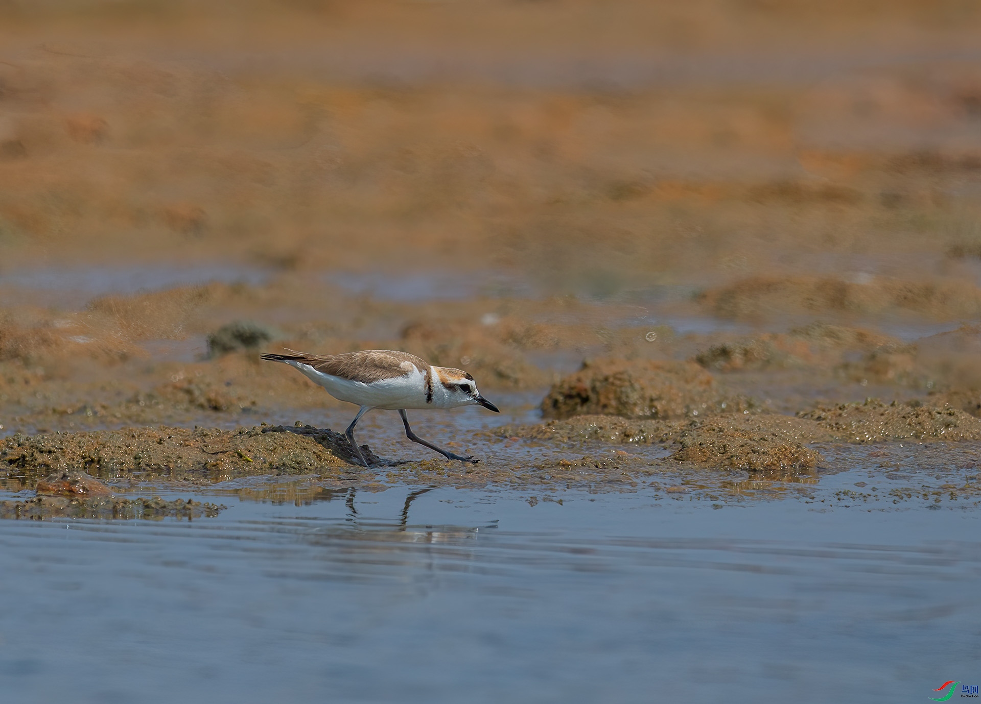 DSC_0862 ����.jpg