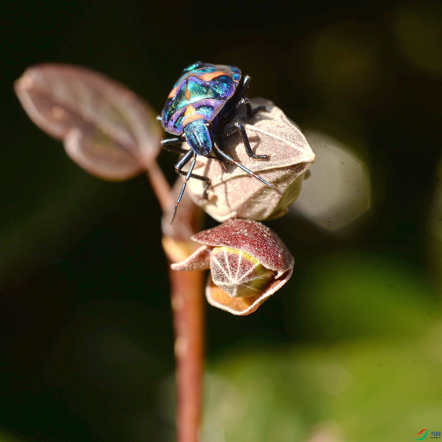 DSC_5269_����.jpg
