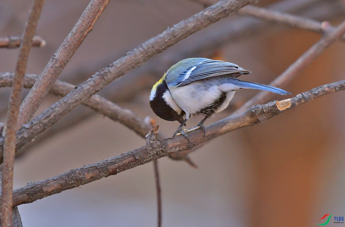 DSC_0895.JPG