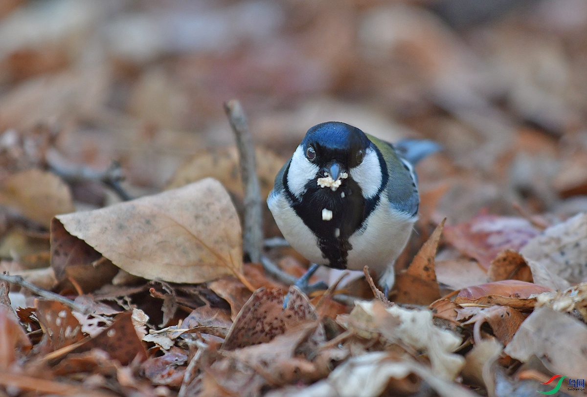 DSC_3005.JPG