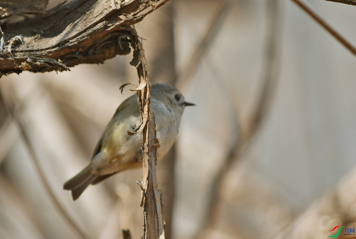 DSC_2722.JPG