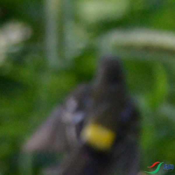BDSC_1234.jpg