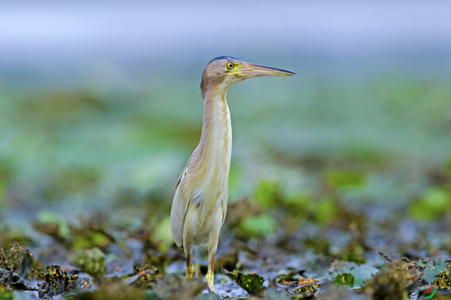 322A3945S-0.jpg