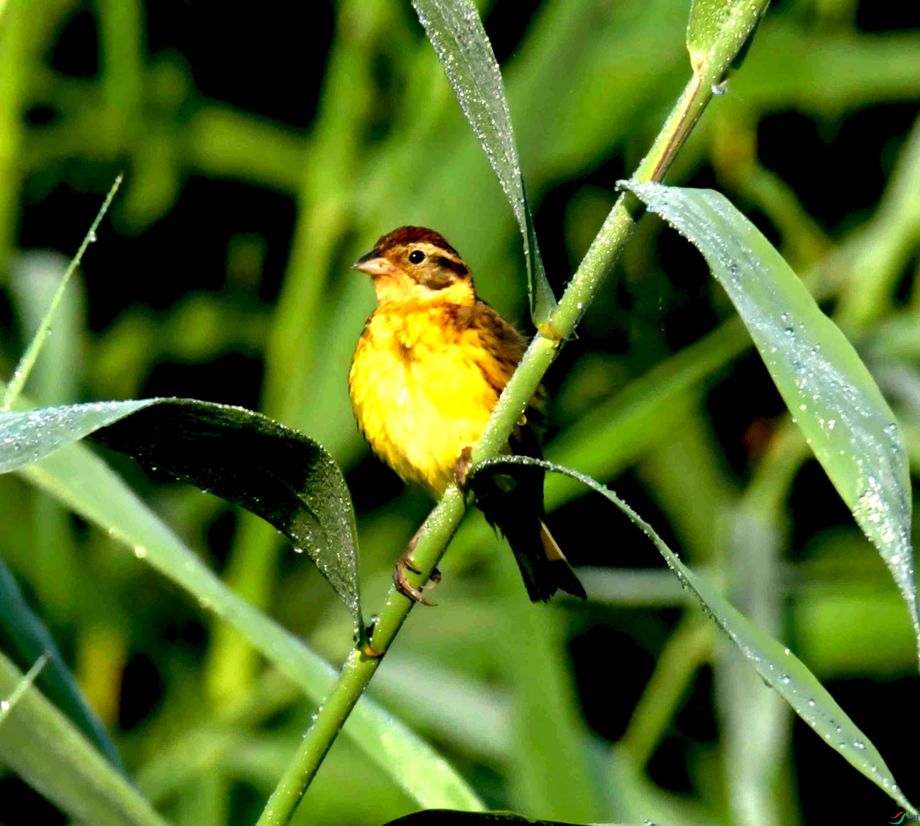 DSC_3329.JPG