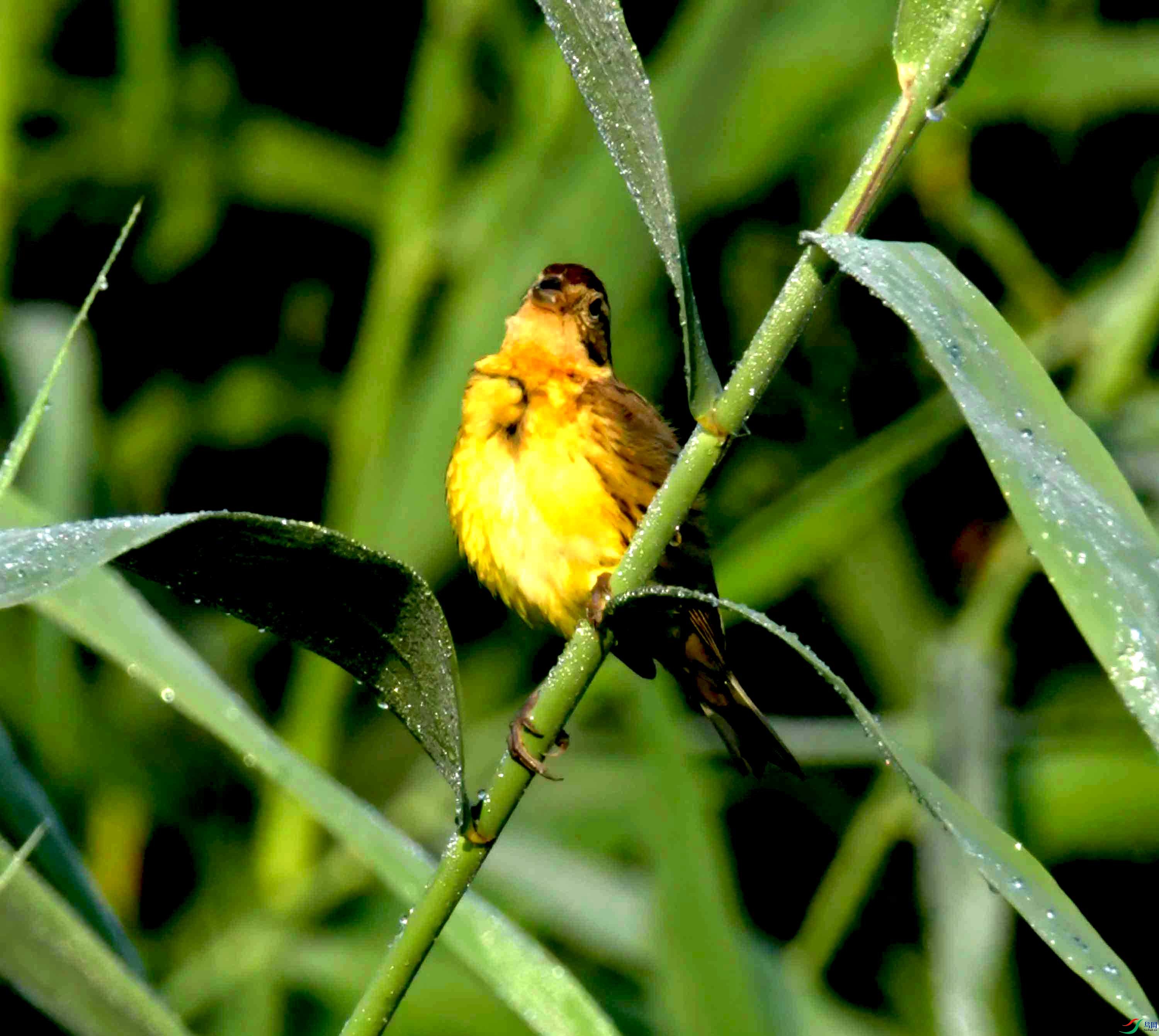 DSC_3333.JPG
