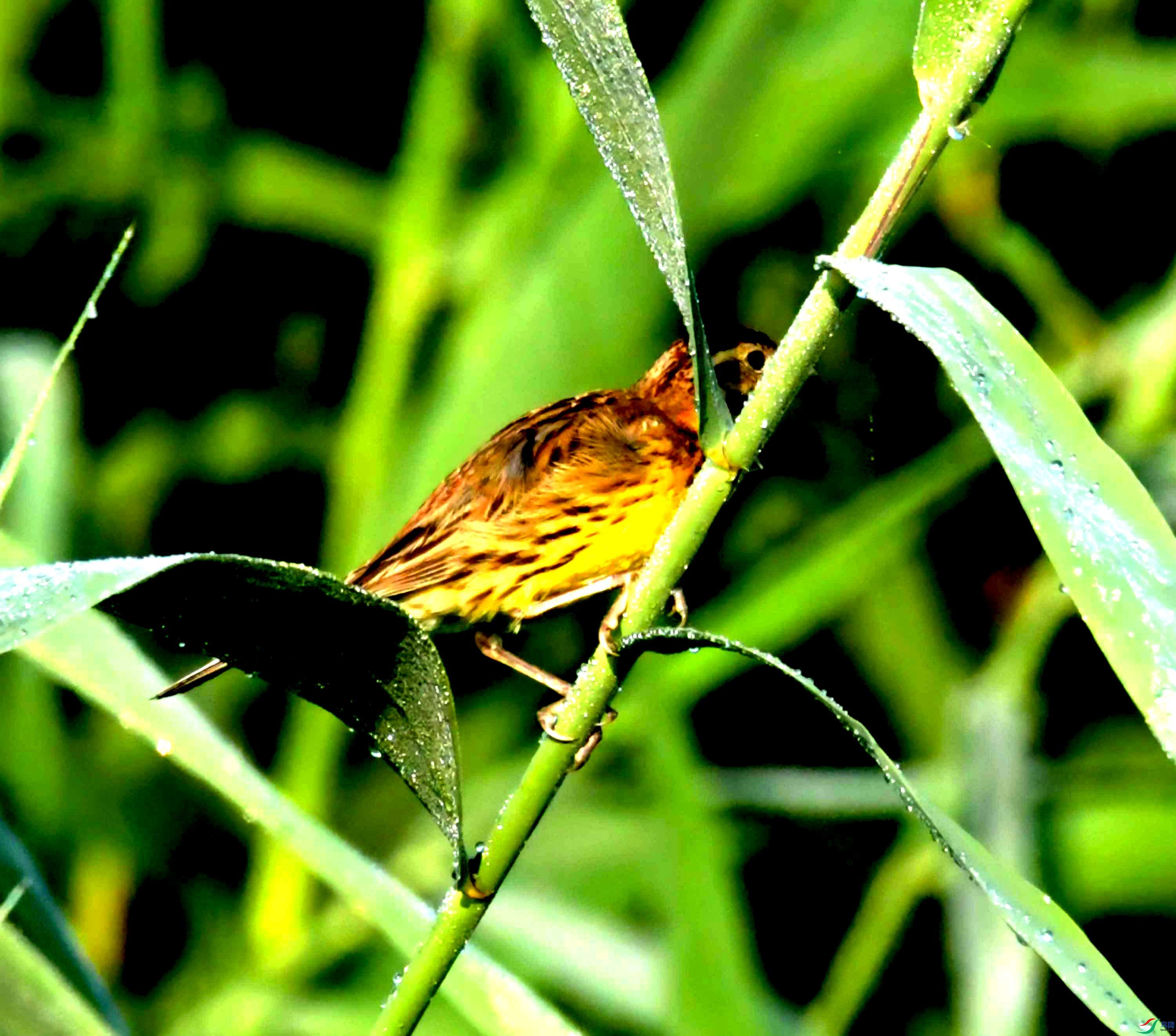 DSC_3344.JPG