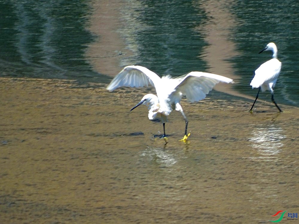 DSC003564.jpg