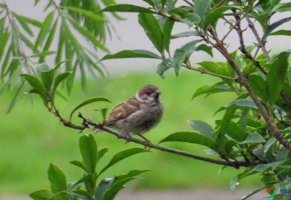 DSC020782.jpg