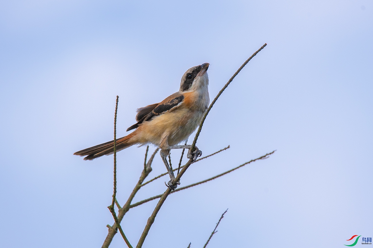 DSC_9689().jpg