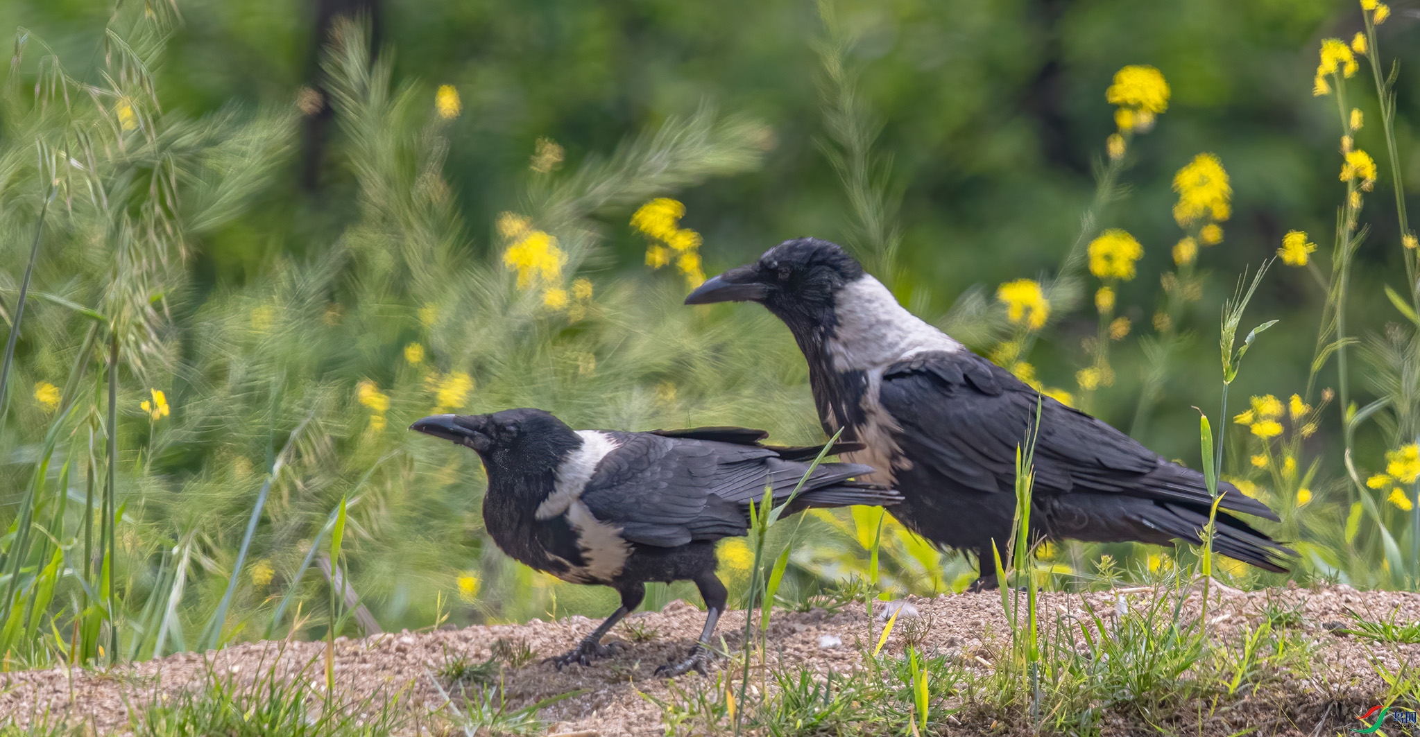 �׾�ѻ.jpg