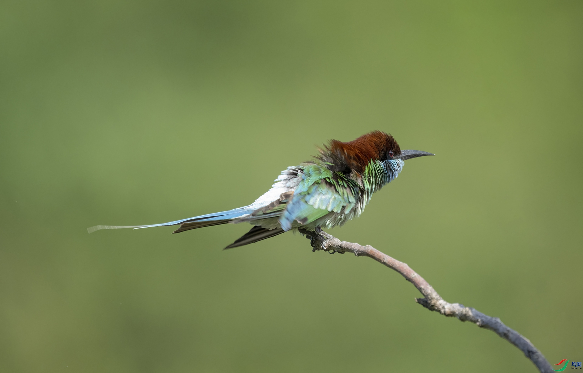 DSC_6949a ����.jpg