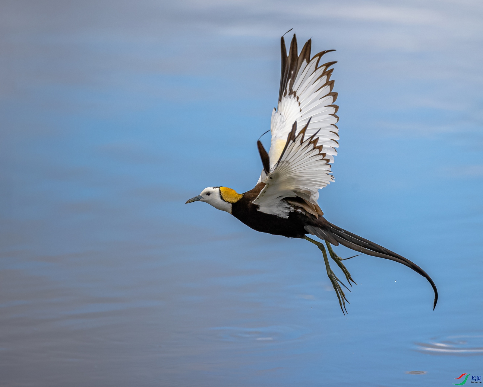 ˮ������