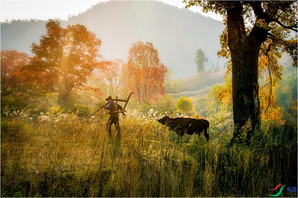 DSC_6488SSSSS----   .jpg